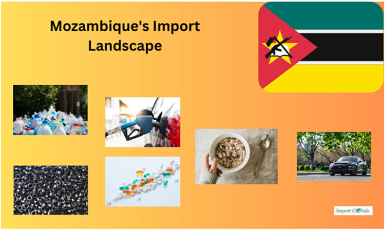 Mozambique's Import Landscape: A Detailed Review