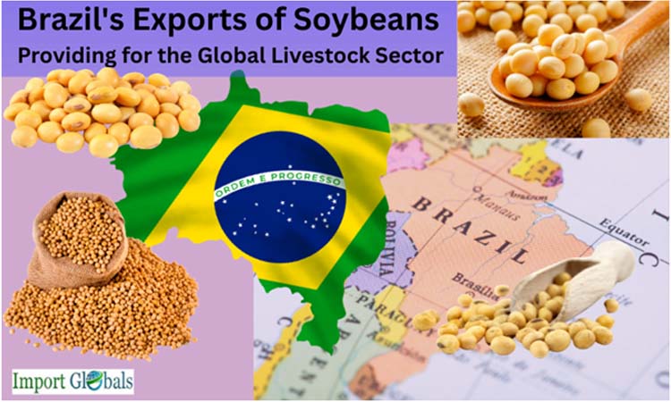 Brazil's Exports of Soybeans: Providing for the Global Livestock Sector